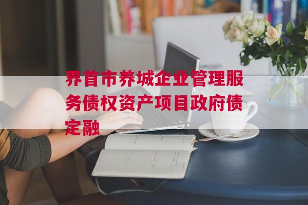 界首市养城企业管理服务债权资产项目政府债定融
