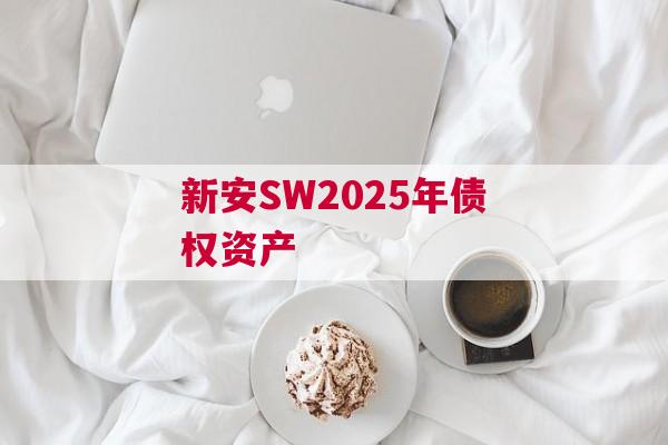 新安SW2025年债权资产