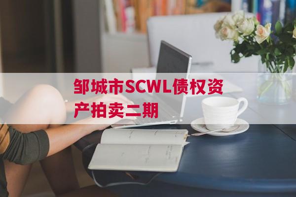 邹城市SCWL债权资产拍卖二期