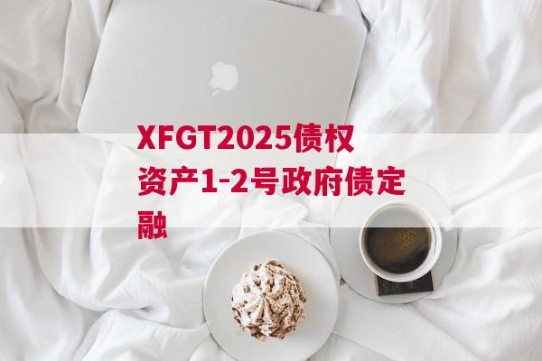 XFGT2025债权资产1-2号政府债定融