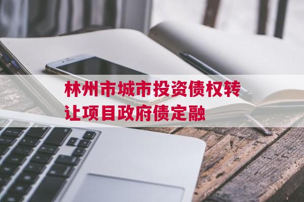 林州市城市投资债权转让项目政府债定融