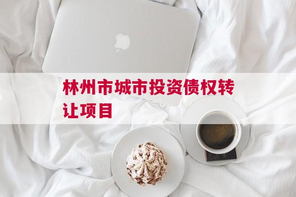 林州市城市投资债权转让项目