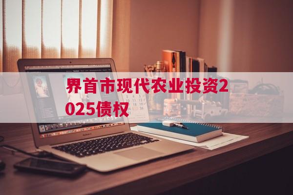 界首市现代农业投资2025债权
