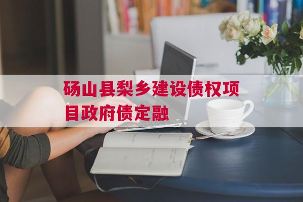 砀山县梨乡建设债权项目政府债定融