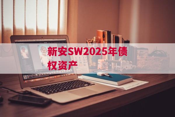 新安SW2025年债权资产