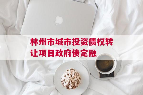 林州市城市投资债权转让项目政府债定融