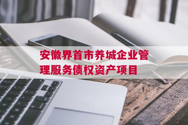 安徽界首市养城企业管理服务债权资产项目