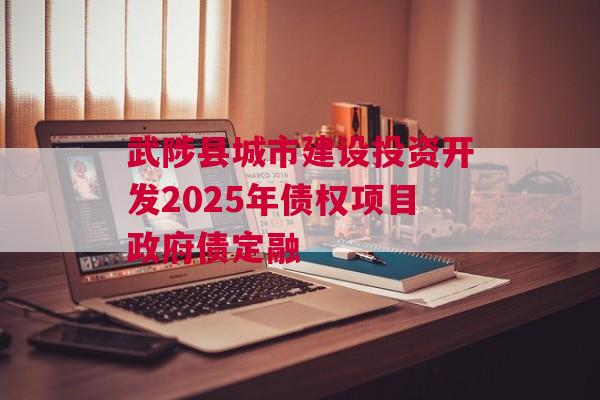 武陟县城市建设投资开发2025年债权项目政府债定融
