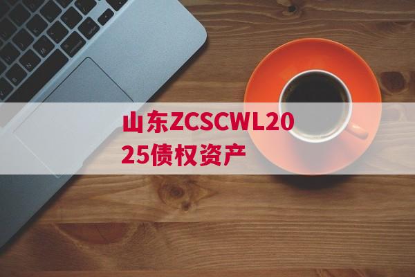 山东ZCSCWL2025债权资产
