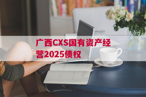 广西CXS国有资产经营2025债权