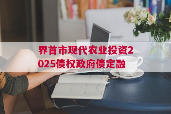 界首市现代农业投资2025债权政府债定融