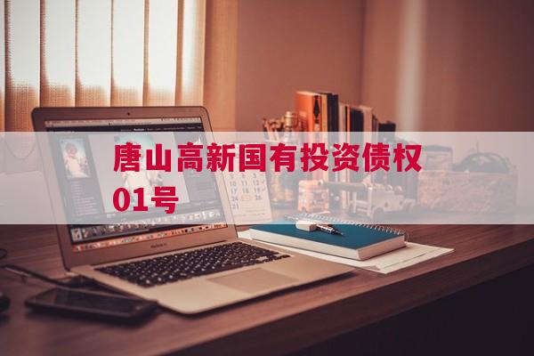 唐山高新国有投资债权01号