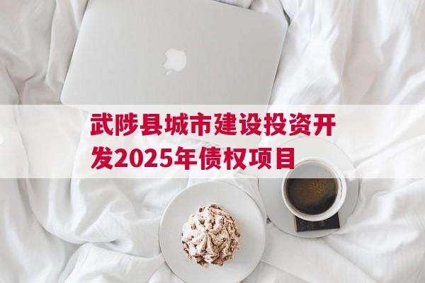 武陟县城市建设投资开发2025年债权项目