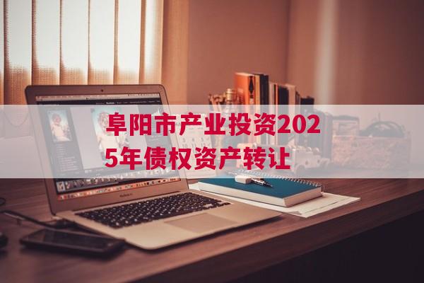 阜阳市产业投资2025年债权资产转让