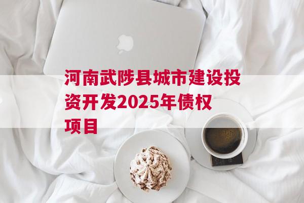 河南武陟县城市建设投资开发2025年债权项目
