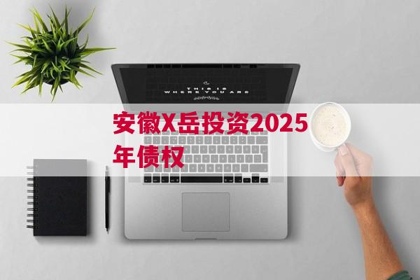 安徽X岳投资2025年债权