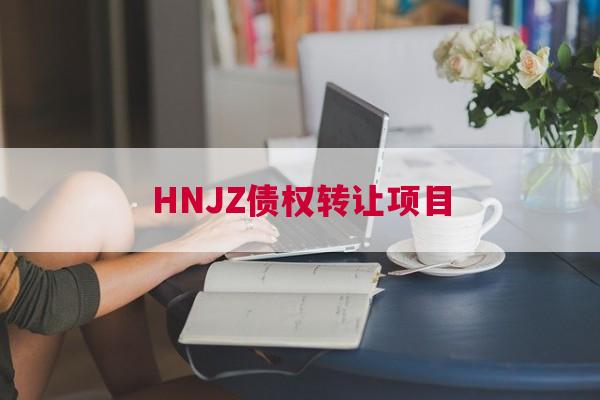 HNJZ债权转让项目
