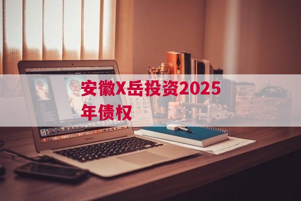 安徽X岳投资2025年债权