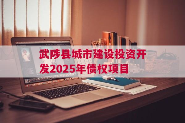 武陟县城市建设投资开发2025年债权项目