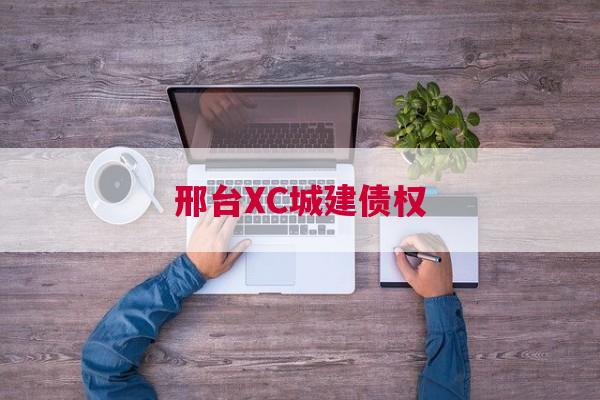 邢台XC城建债权