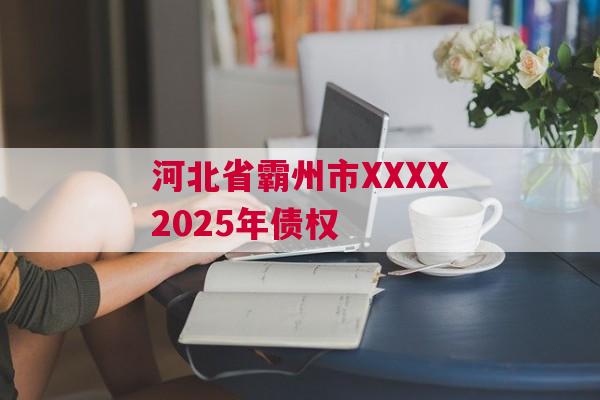 河北省霸州市XXXX2025年债权