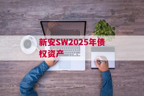 新安SW2025年债权资产