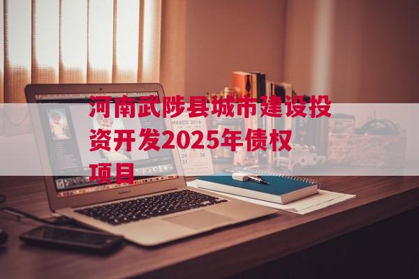 河南武陟县城市建设投资开发2025年债权项目