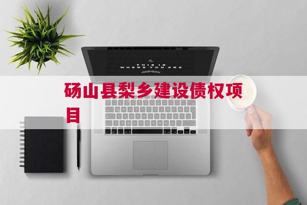 砀山县梨乡建设债权项目
