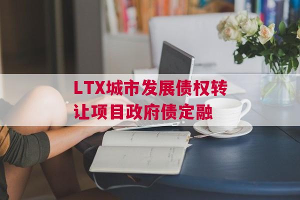 LTX城市发展债权转让项目政府债定融