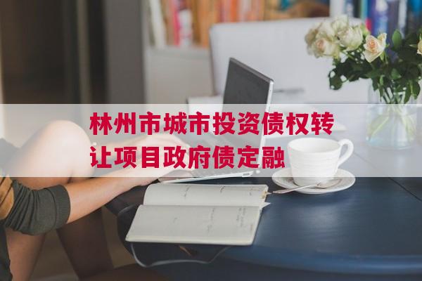 林州市城市投资债权转让项目政府债定融