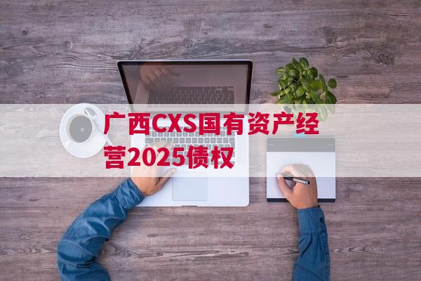 广西CXS国有资产经营2025债权