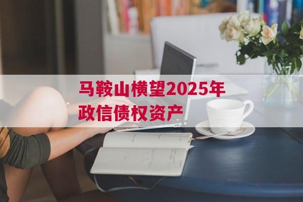 马鞍山横望2025年政信债权资产