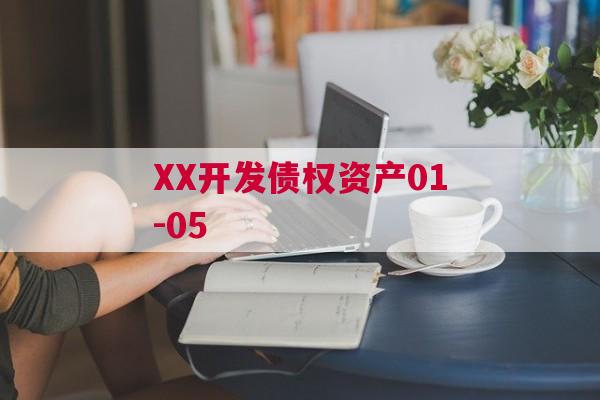 XX开发债权资产01-05