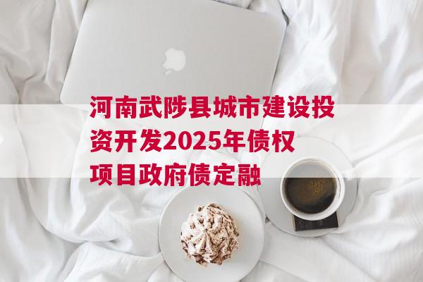 河南武陟县城市建设投资开发2025年债权项目政府债定融