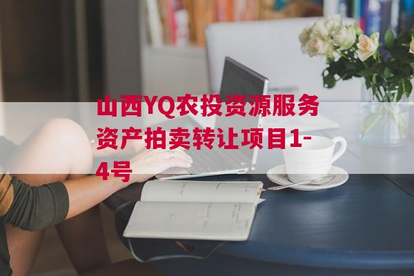 山西YQ农投资源服务资产拍卖转让项目1-4号