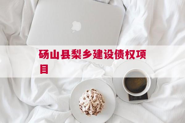 砀山县梨乡建设债权项目