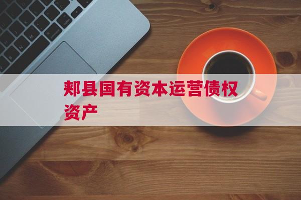 郏县国有资本运营债权资产