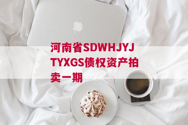 河南省SDWHJYJTYXGS债权资产拍卖一期