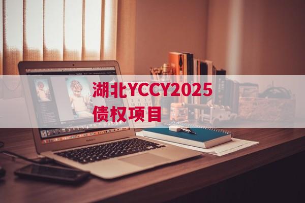 湖北YCCY2025债权项目