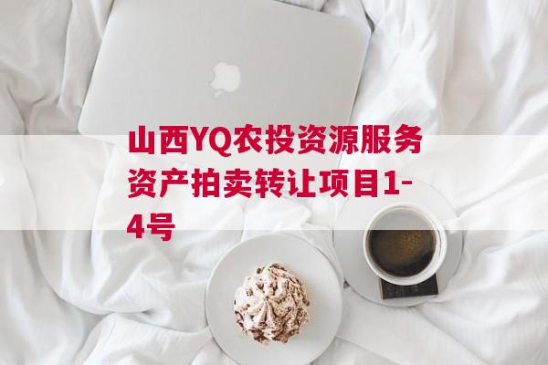 山西YQ农投资源服务资产拍卖转让项目1-4号