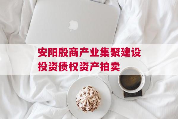 安阳殷商产业集聚建设投资债权资产拍卖