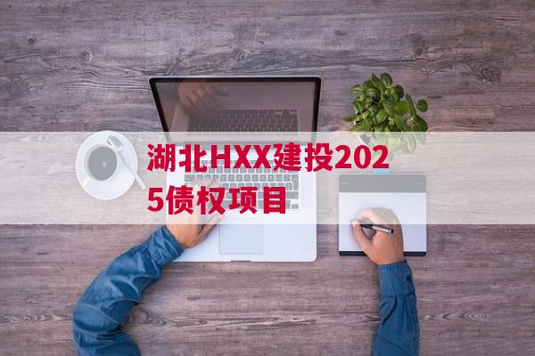 湖北HXX建投2025债权项目