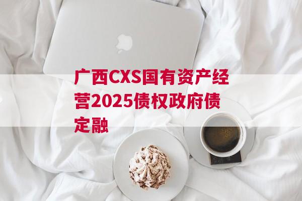 广西CXS国有资产经营2025债权政府债定融