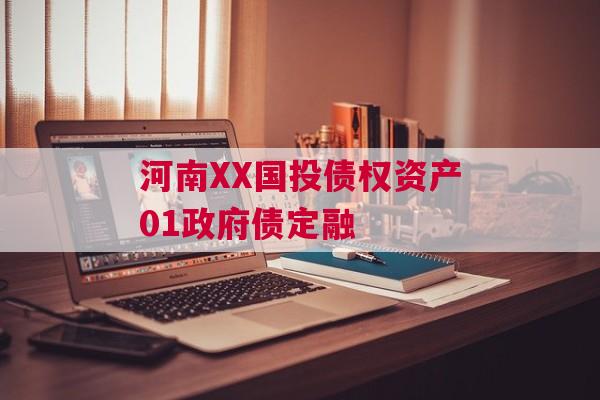 河南XX国投债权资产01政府债定融