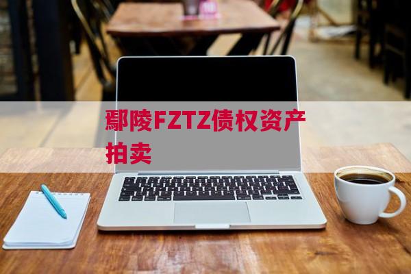 鄢陵FZTZ债权资产拍卖