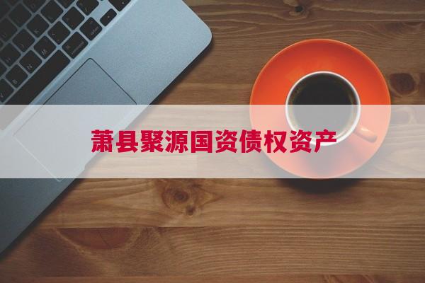 萧县聚源国资债权资产
