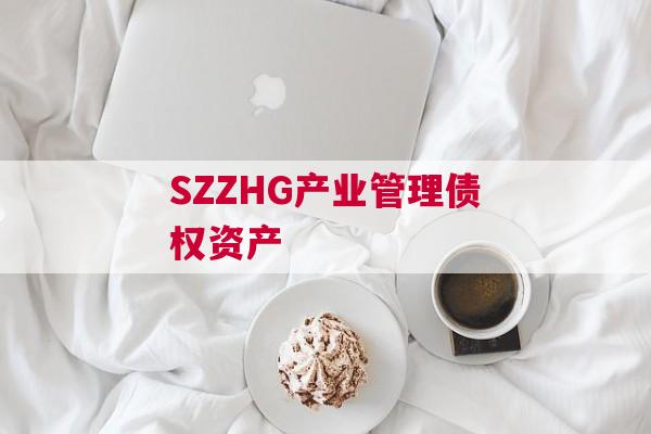 SZZHG产业管理债权资产 SZZHG产业管理债权资产
