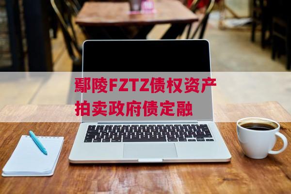鄢陵FZTZ债权资产拍卖政府债定融 鄢陵FZTZ债权资产拍卖政府债定融