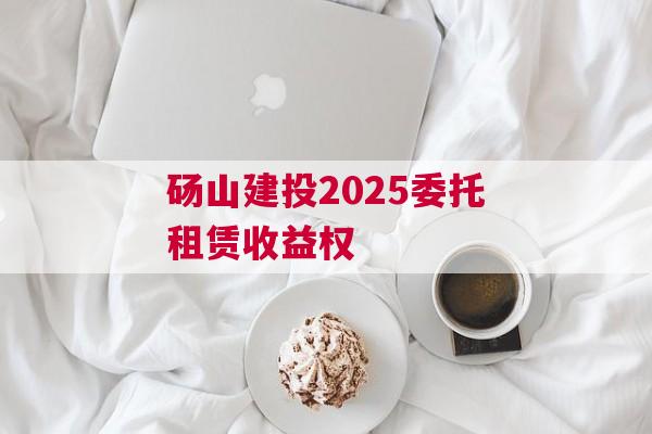 砀山建投2025委托租赁收益权 砀山建投2025委托租赁收益权